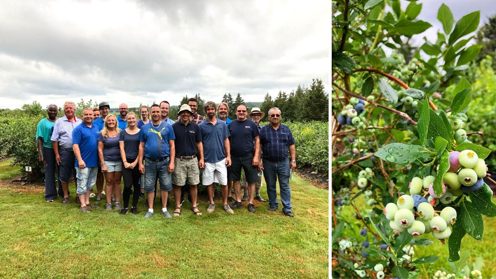 Les producteurs de Chaudière-Appalaches s'étaient donné rendez-vous à la Bleuetière Sartigan pour le lancement officiel de la saison.