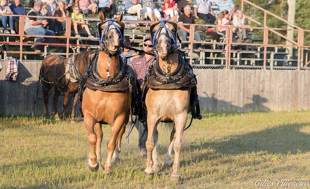 Défi relevé pour la 12e édition de Nashville en Beauce!