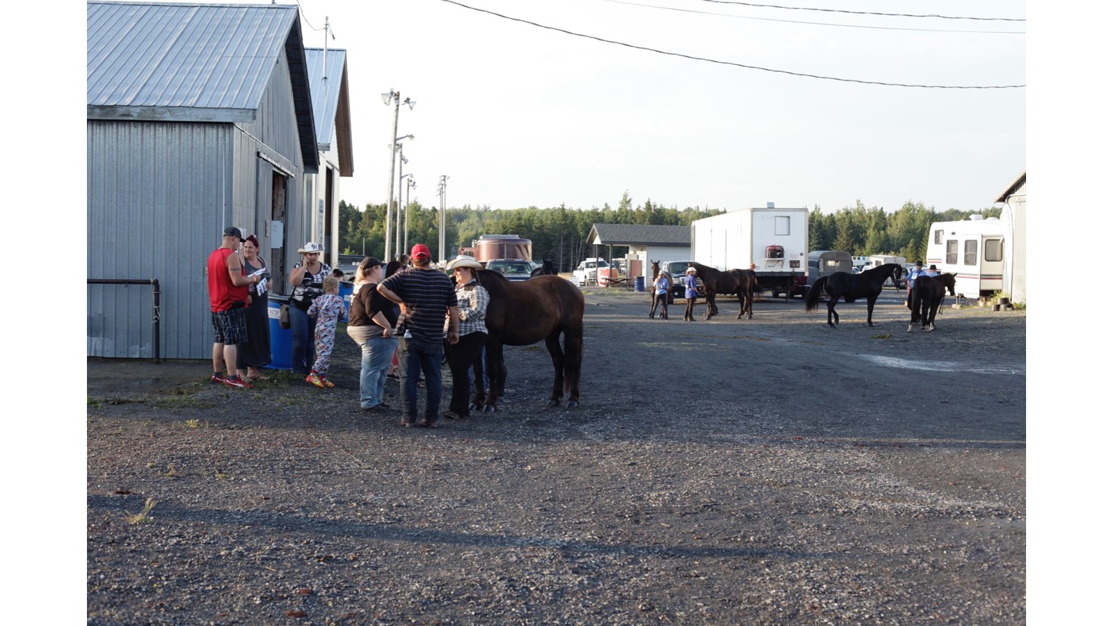 La 55e Exposition agricole de Beauce mettra à l’honneur le travail des agriculteurs