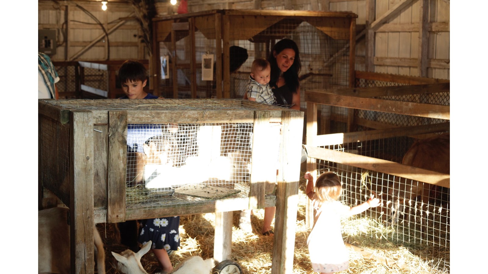 La 55e Exposition agricole de Beauce mettra à l’honneur le travail des agriculteurs