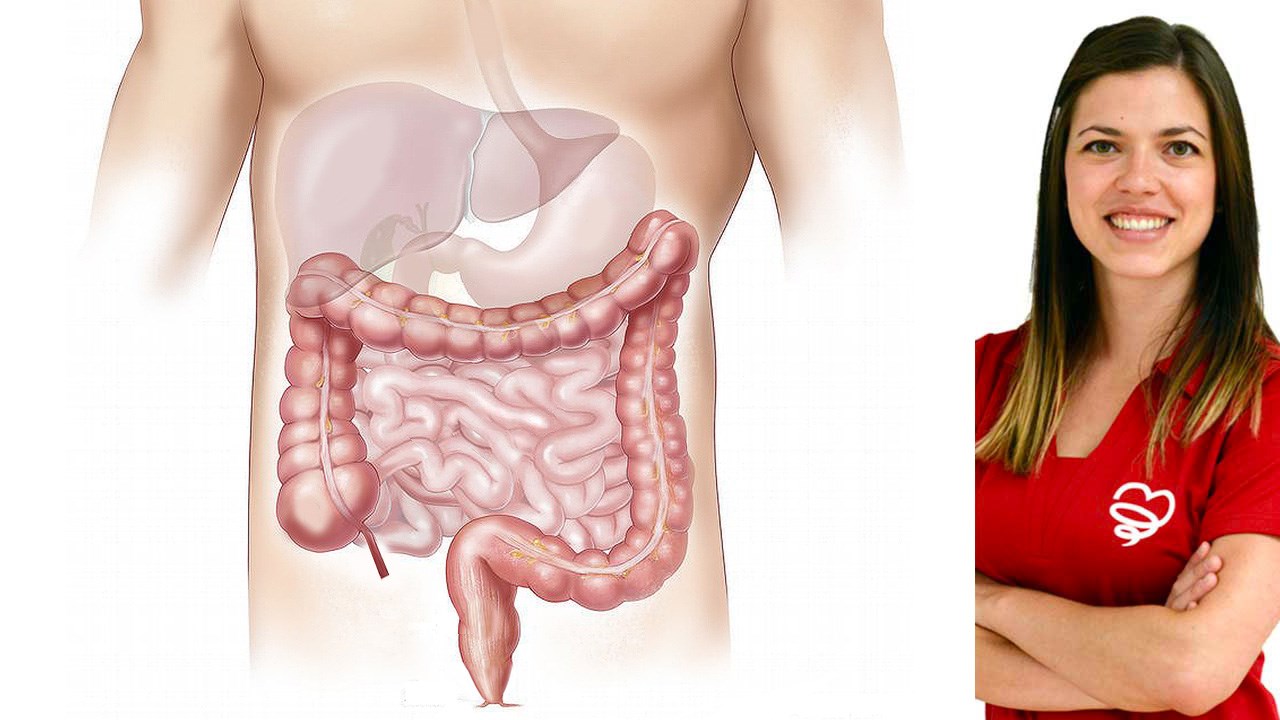 Microbiote intestinal : des milliards de bactéries au service de notre santé