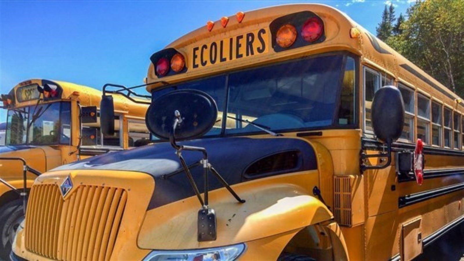 Rentrée scolaire 2019 : ouvrez l'œil!