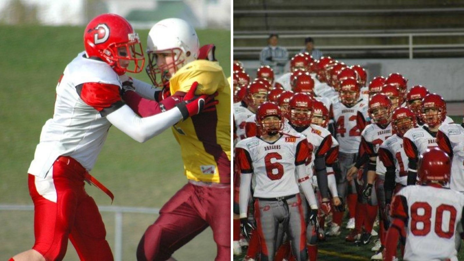 François Rodrigue a joué avec Les Dragons.