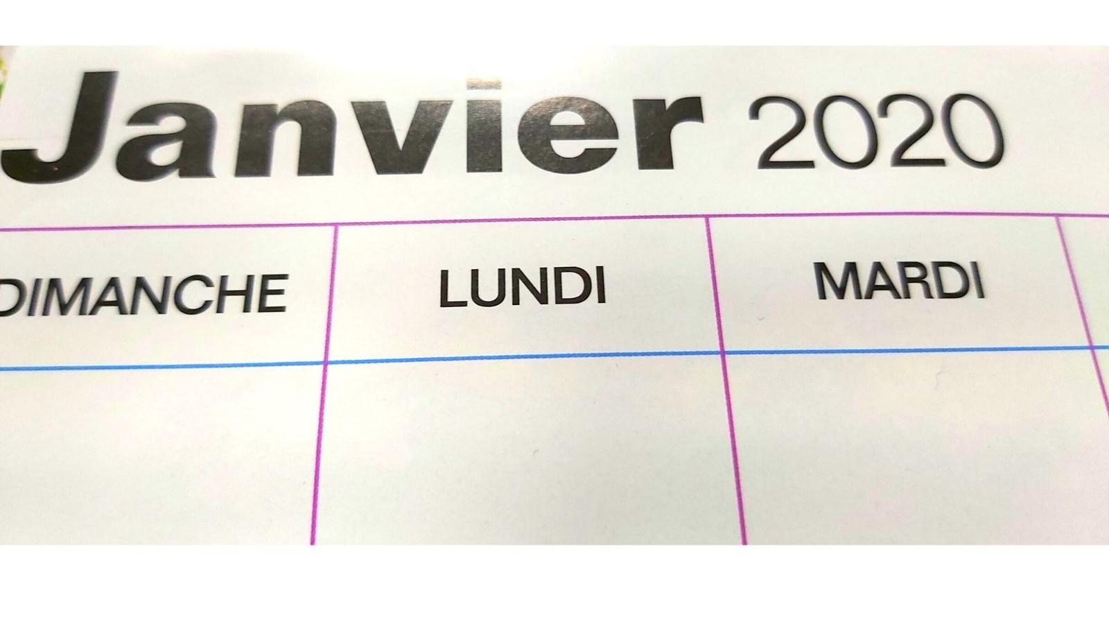 Quelques perspectives pour la nouvelle année