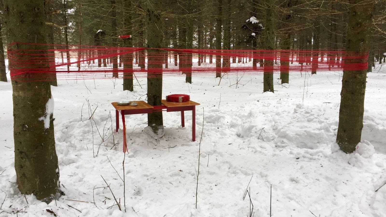« Quelque chose que je sais », une œuvre de Sylvie Lapierre (Printemps 2019)