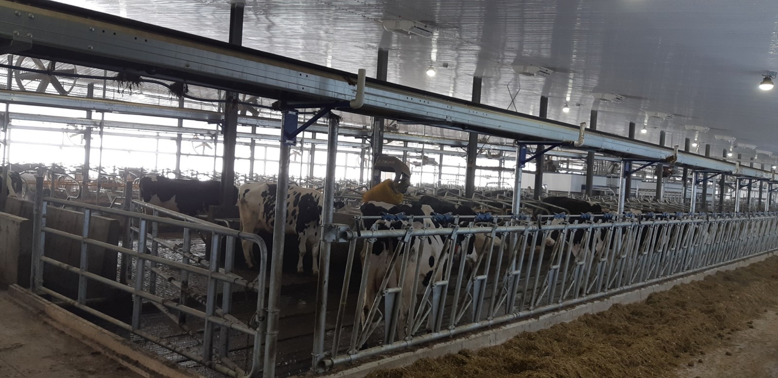 La Ferme Holdream de Saint-Honoré se tourne vers la robotisation