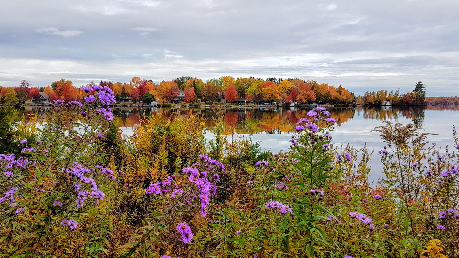Lac Fortin