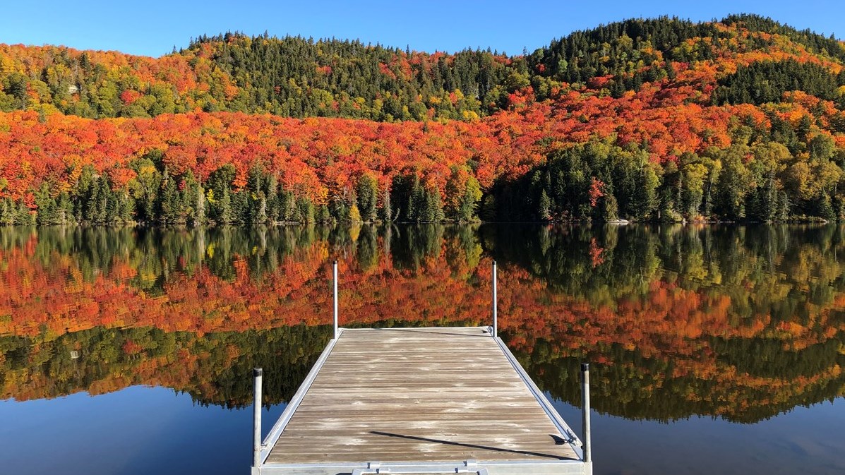 Captez-nous en photos la belle saison des couleurs — GALERIE 2