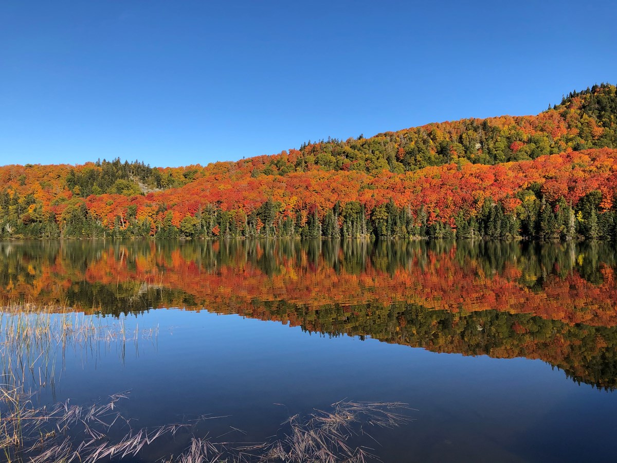 Captez-nous en photos la belle saison des couleurs — GALERIE 2