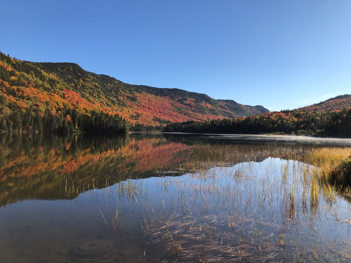 Captez-nous en photos la belle saison des couleurs — GALERIE 2