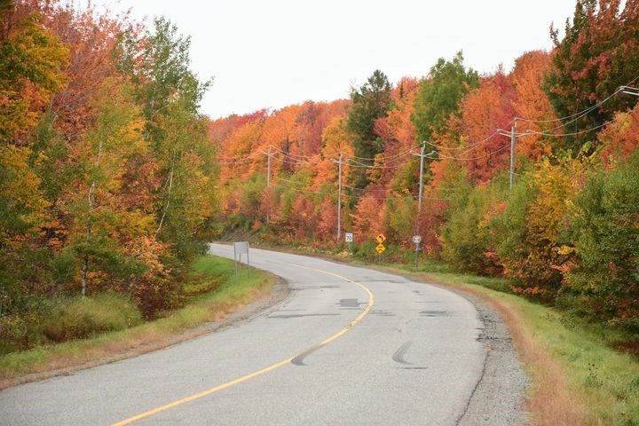 Captez-nous en photos la belle saison des couleurs — GALERIE 2
