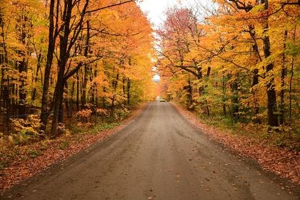 Captez-nous en photos la belle saison des couleurs — GALERIE 2