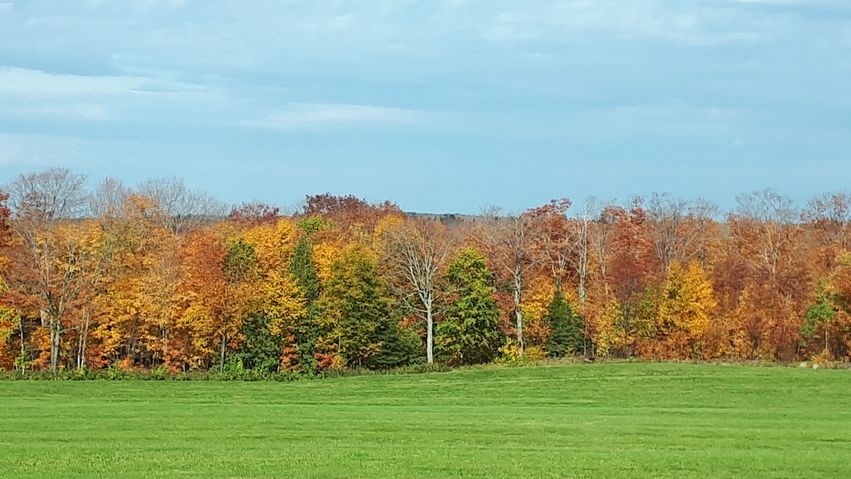 Captez-nous en photos la belle saison des couleurs — GALERIE 2