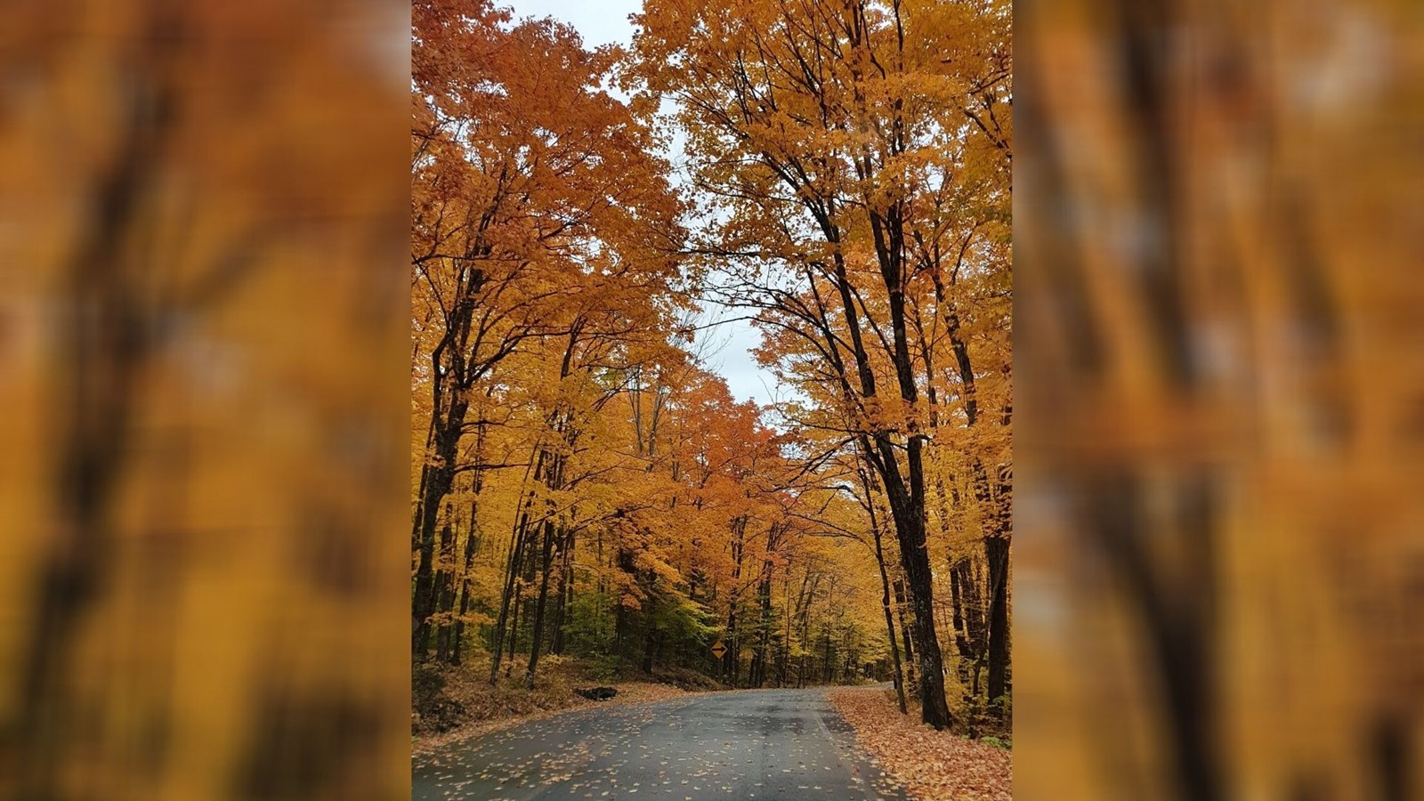Captez-nous en photos la belle saison des couleurs — GALERIE 2