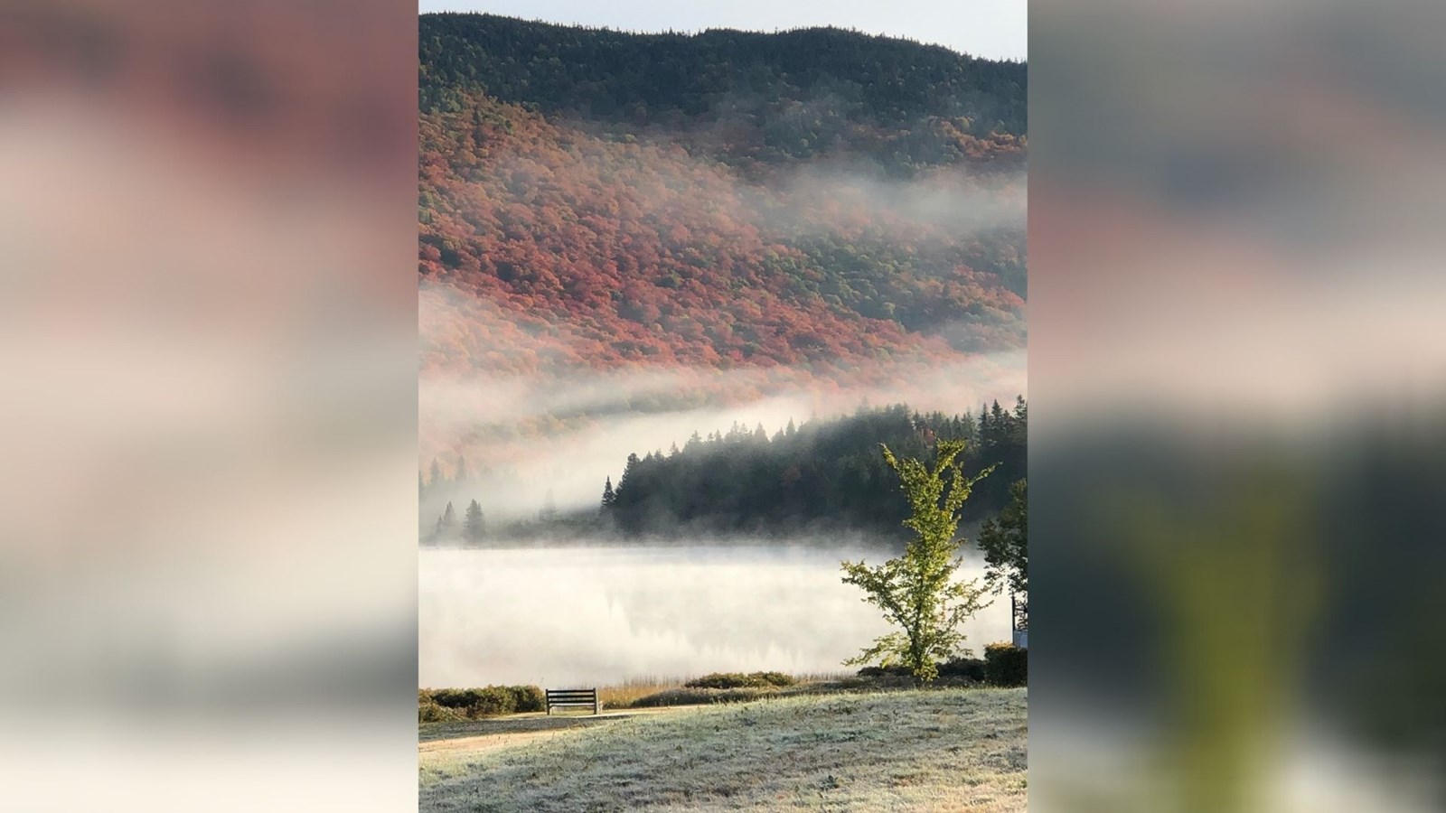 Captez-nous en photos la belle saison des couleurs — GALERIE 2