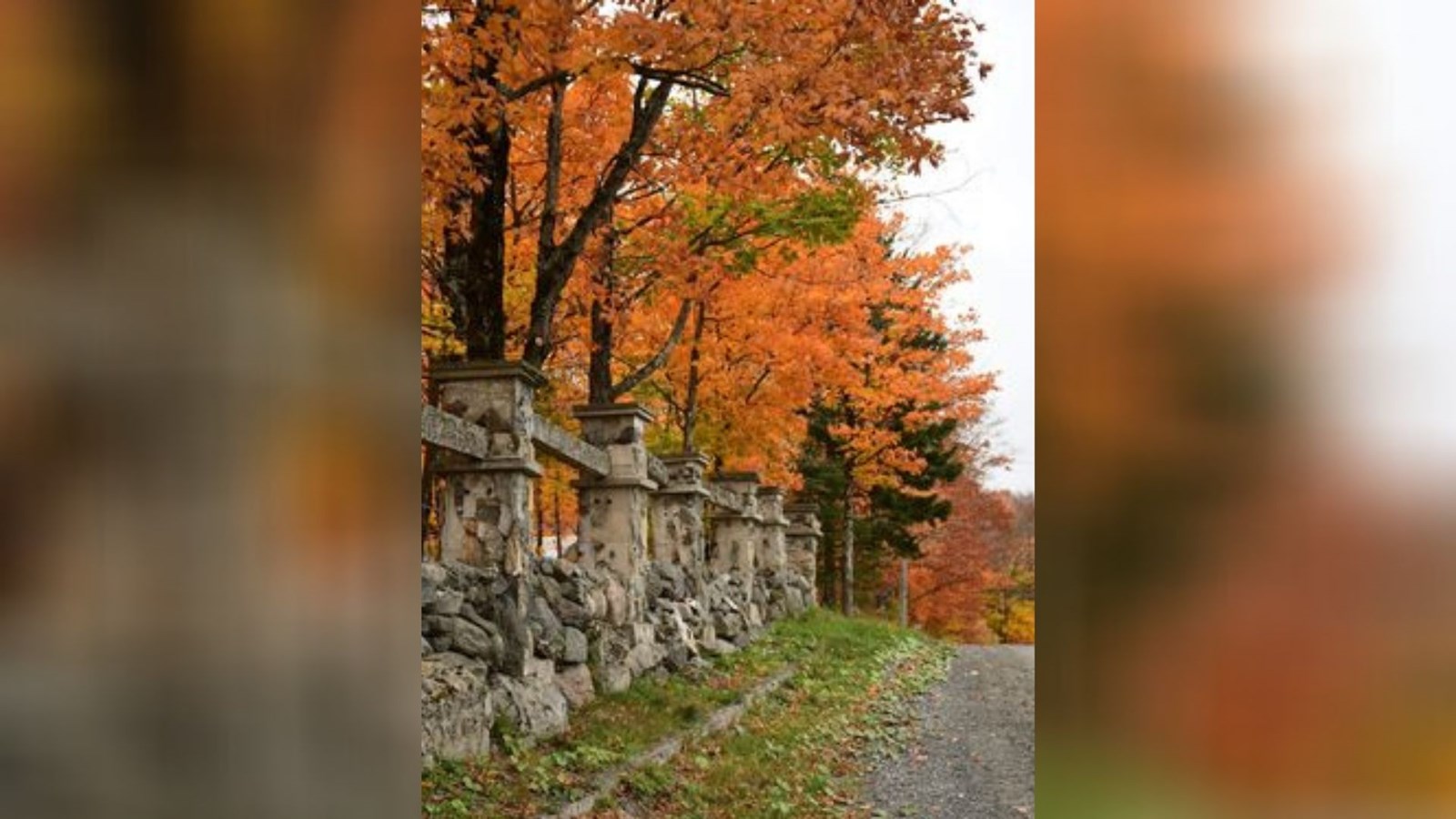 Captez-nous en photos la belle saison des couleurs — GALERIE 2
