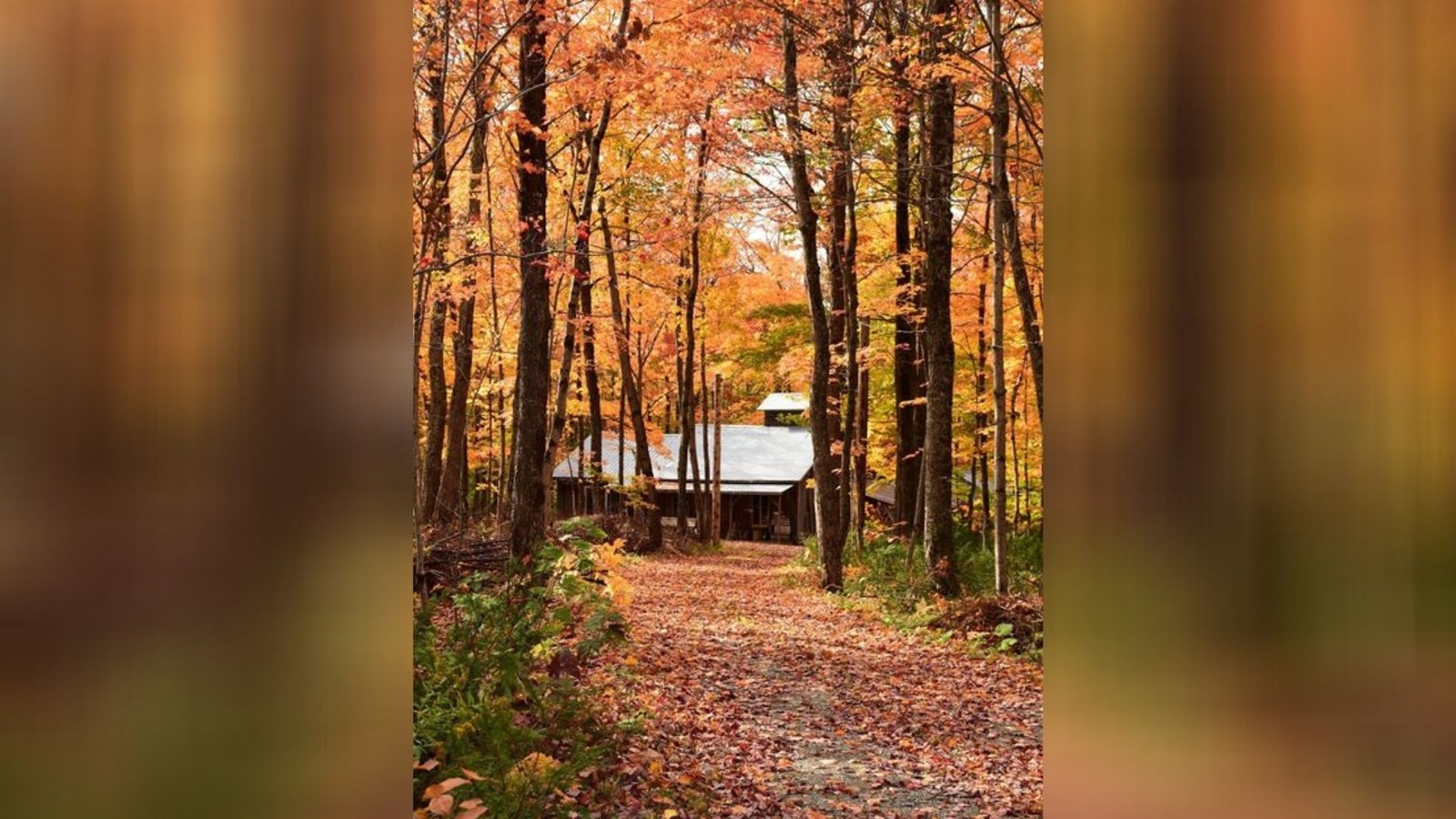 Captez-nous en photos la belle saison des couleurs — GALERIE 2