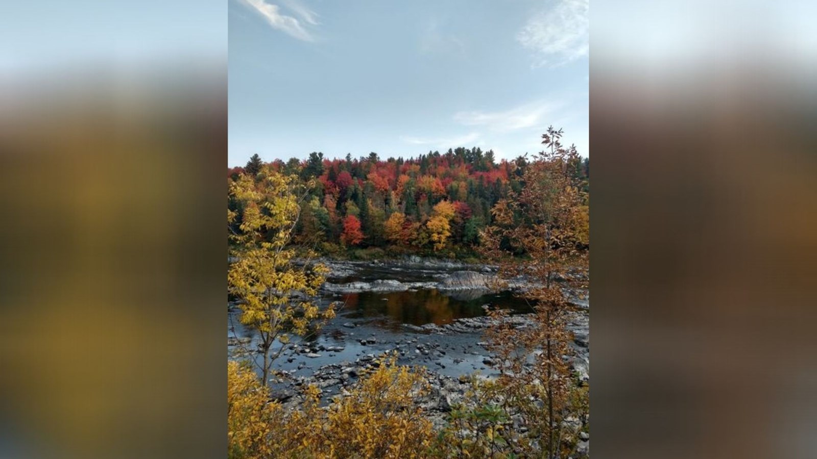 Captez-nous en photos la belle saison des couleurs — GALERIE 2