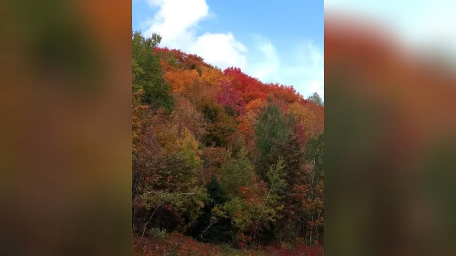 Captez-nous en photos la belle saison des couleurs — GALERIE 2