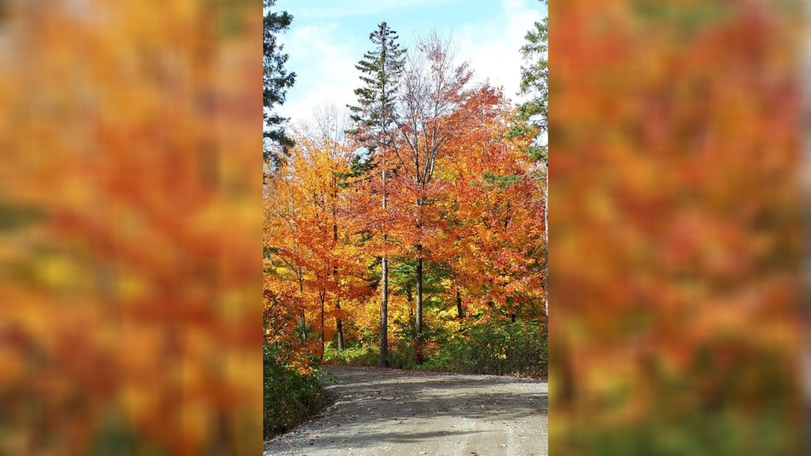 Captez-nous en photos la belle saison des couleurs — GALERIE 2
