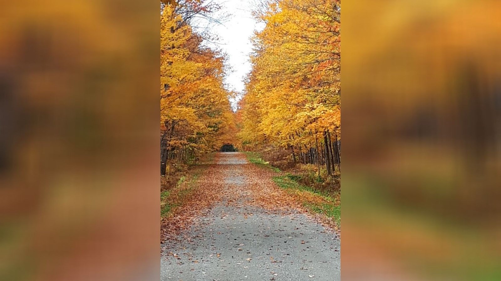 Captez-nous en photos la belle saison des couleurs — GALERIE 2