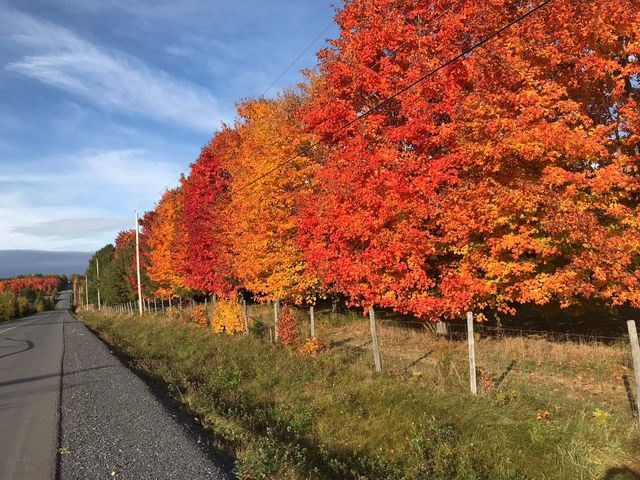 Captez-nous en photos la belle saison des couleurs — GALERIE 3