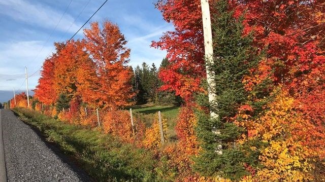 Captez-nous en photos la belle saison des couleurs — GALERIE 3