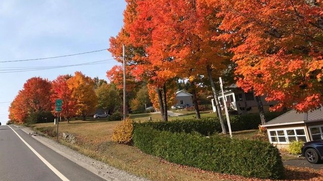 Captez-nous en photos la belle saison des couleurs — GALERIE 3