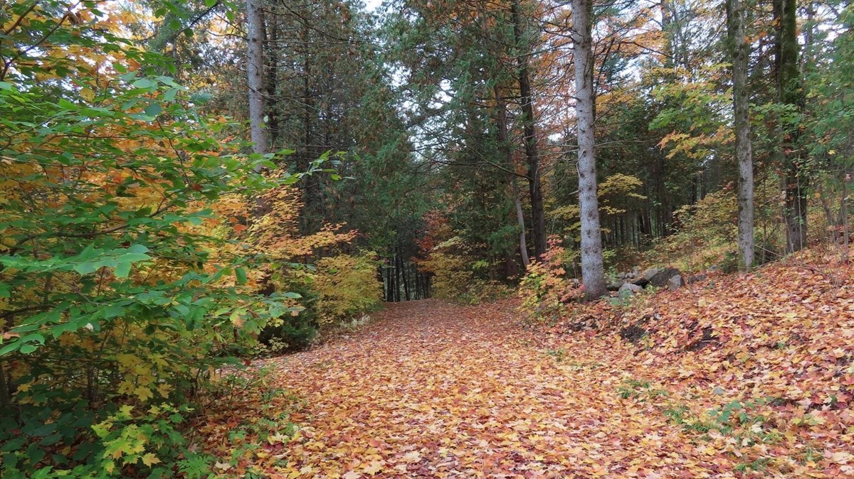 Captez-nous en photos la belle saison des couleurs — GALERIE 3