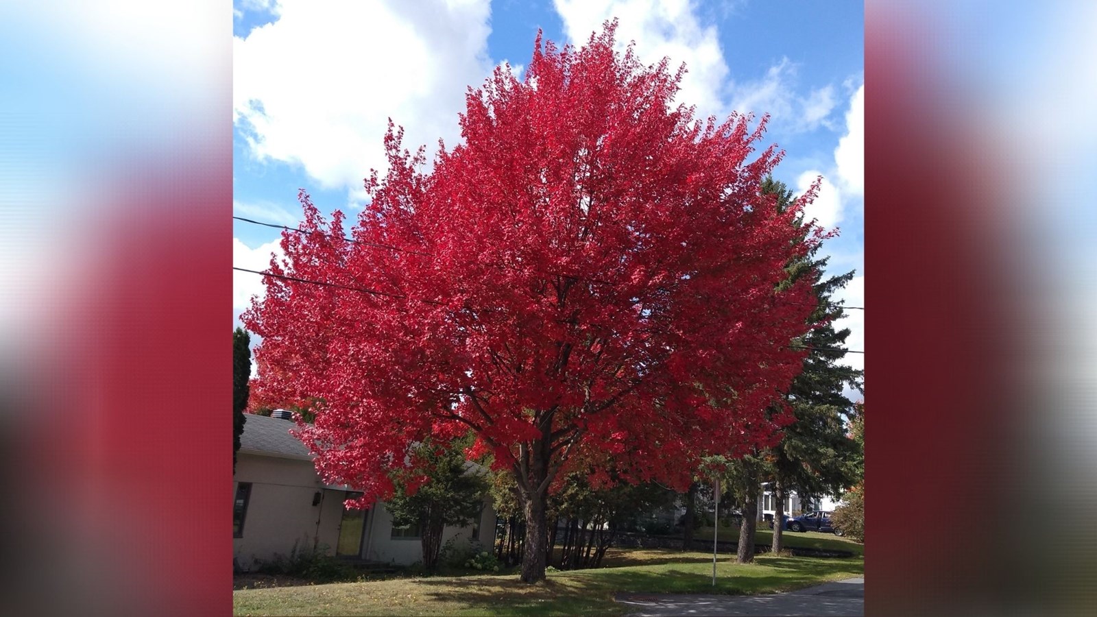 Captez-nous en photos la belle saison des couleurs — GALERIE 3