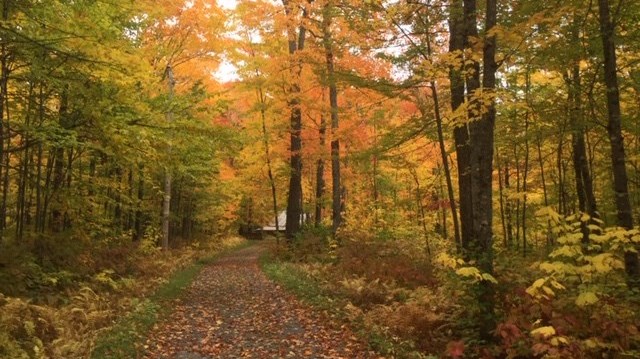 Captez-nous en photos la belle saison des couleurs — GALERIE 4