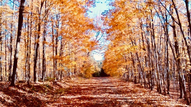 Captez-nous en photos la belle saison des couleurs — GALERIE 4