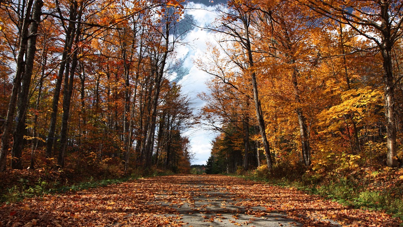 Captez-nous en photos la belle saison des couleurs — GALERIE 4