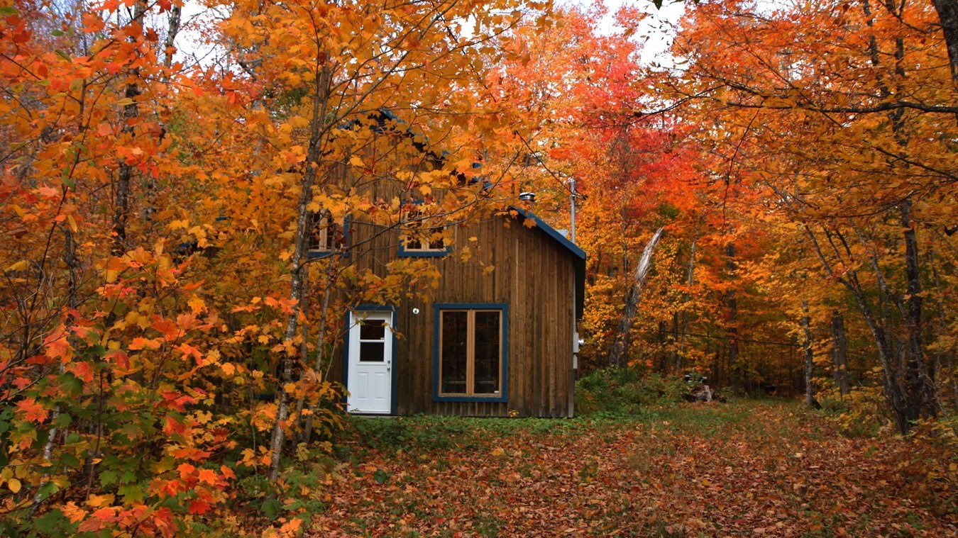 Captez-nous en photos la belle saison des couleurs — GALERIE 4