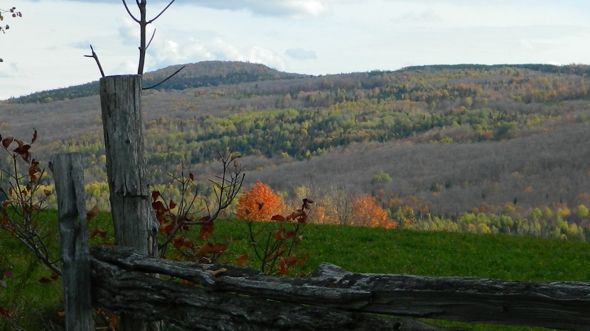 Captez-nous en photos la belle saison des couleurs — GALERIE 4