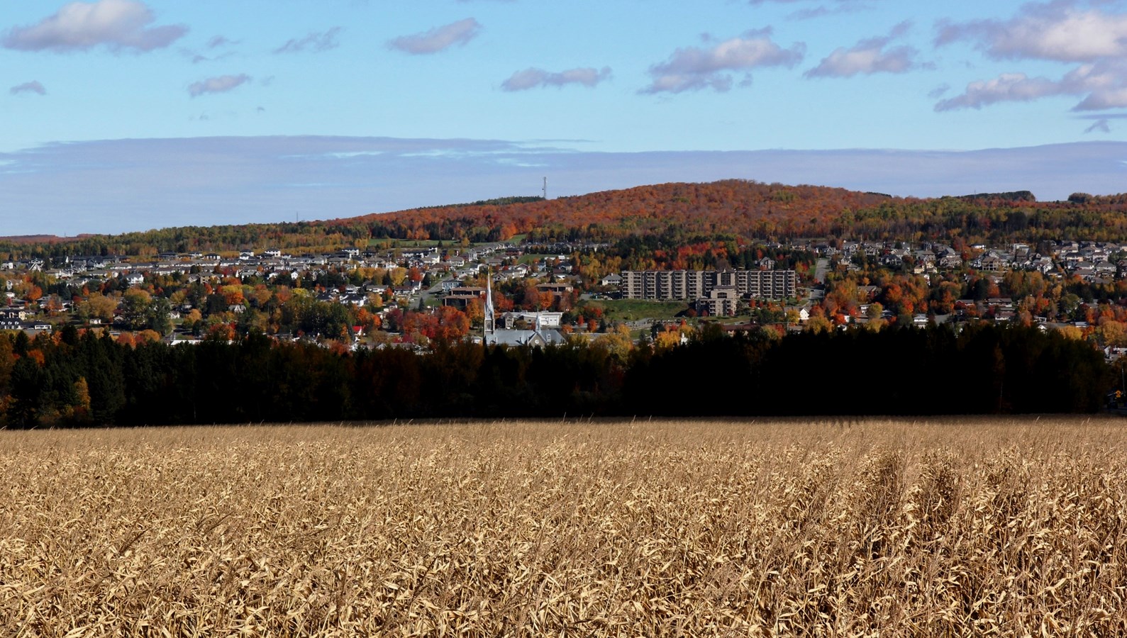 Captez-nous en photos la belle saison des couleurs — GALERIE 5
