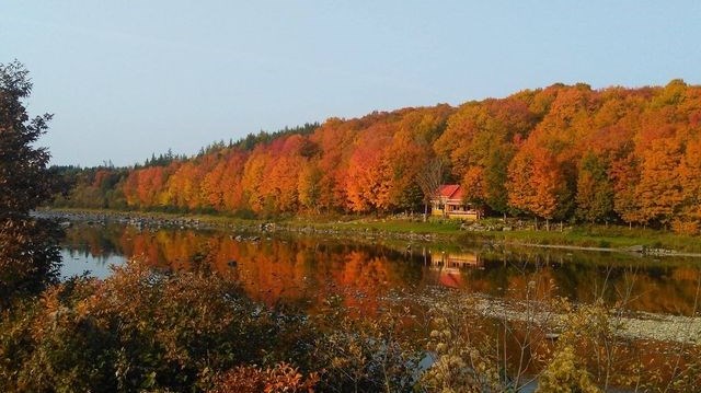 Captez-nous en photos la belle saison des couleurs — GALERIE 5