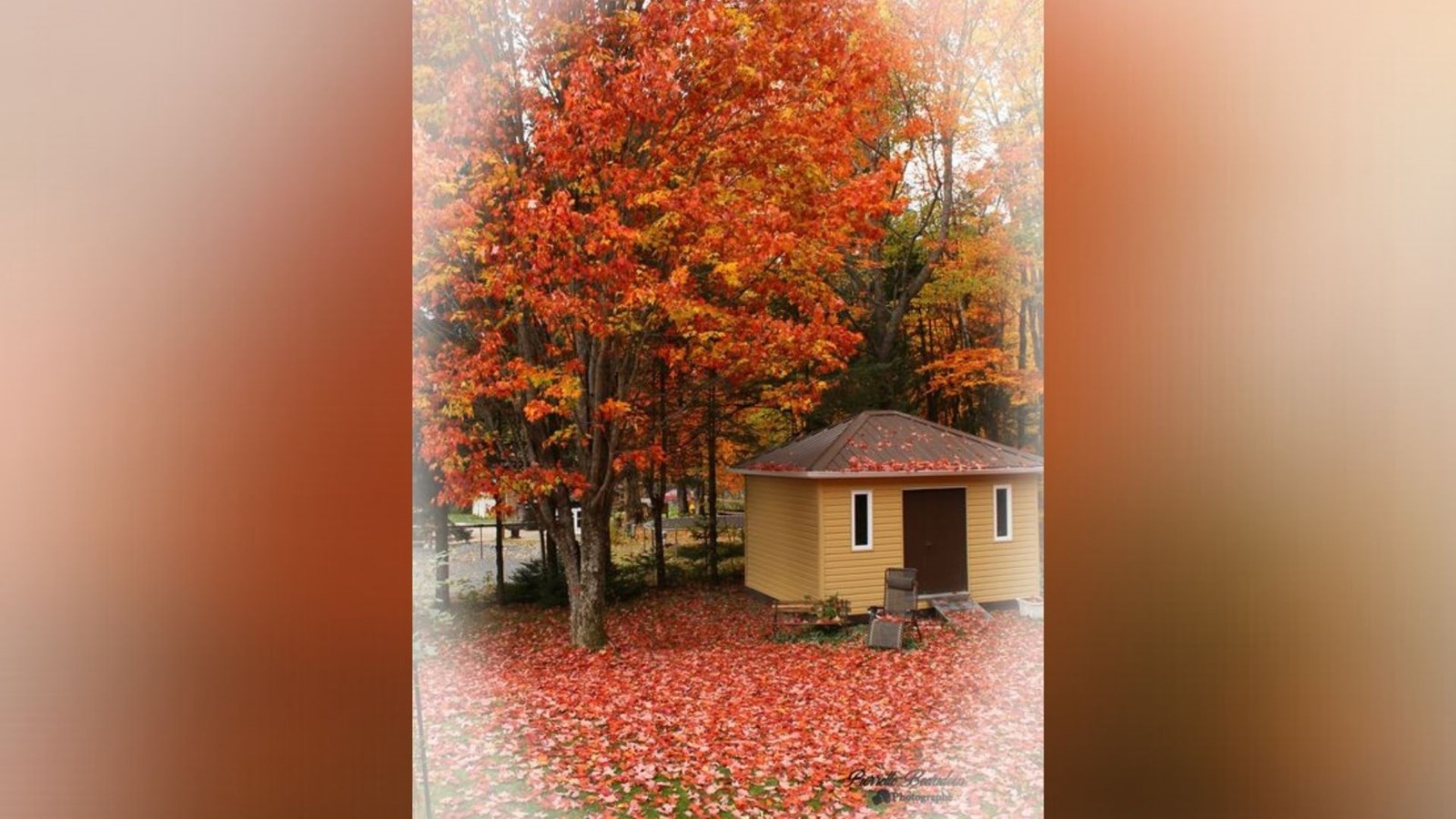 Captez-nous en photos la belle saison des couleurs — GALERIE 5
