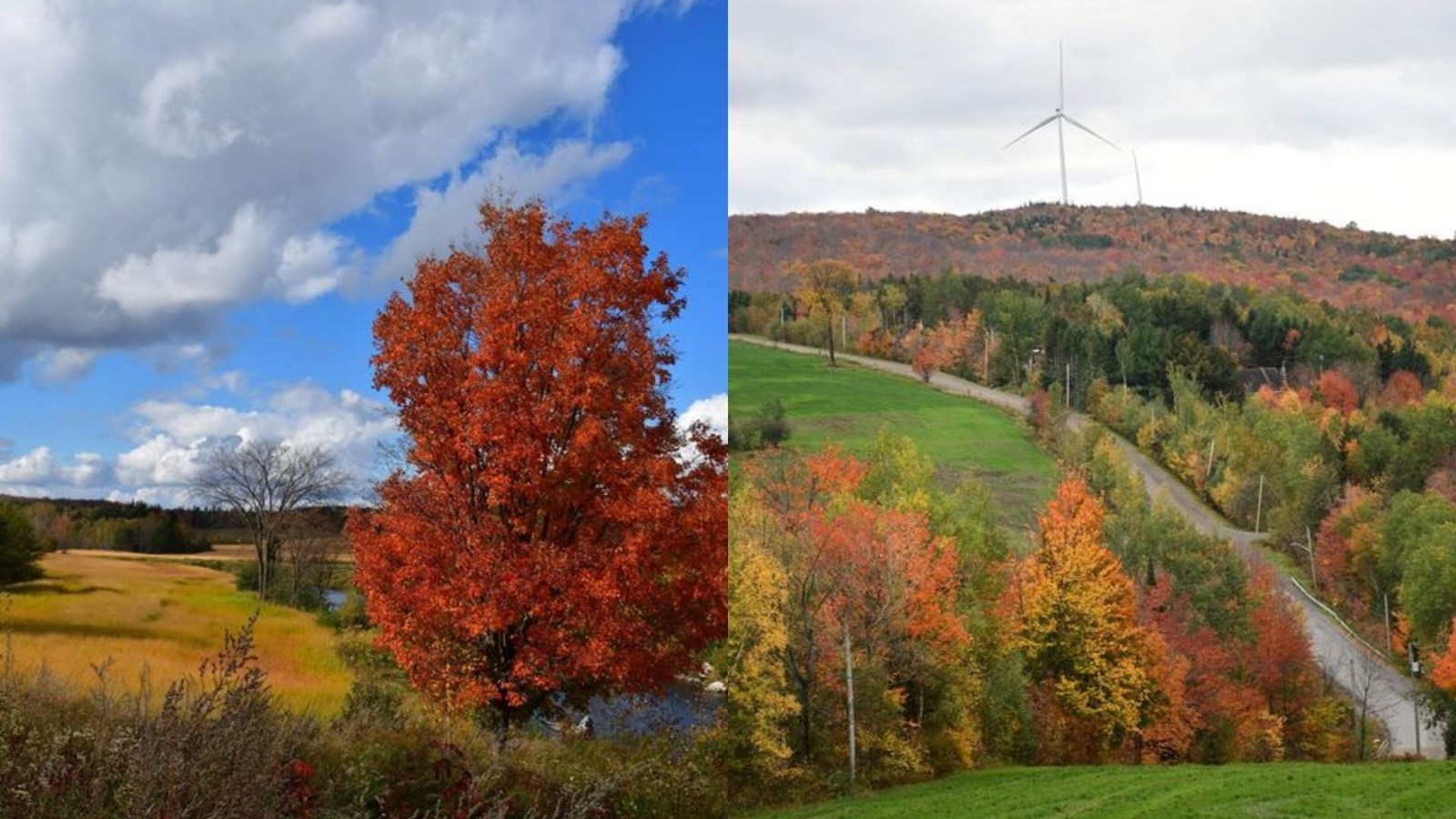 Captez-nous en photos la belle saison des couleurs — GALERIE 5