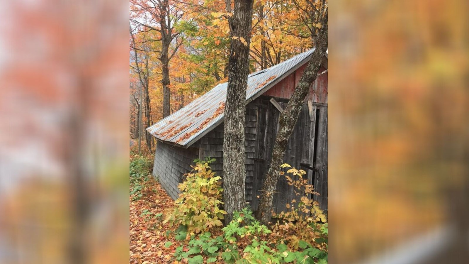 Captez-nous en photos la belle saison des couleurs — GALERIE 6
