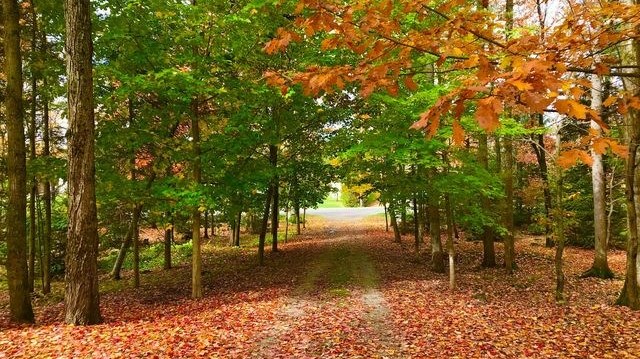 St-Lambert-de-Lauzon