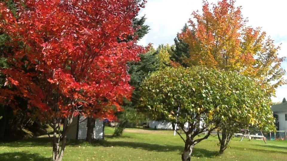 Captez-nous en photos la belle saison des couleurs — GALERIE 7