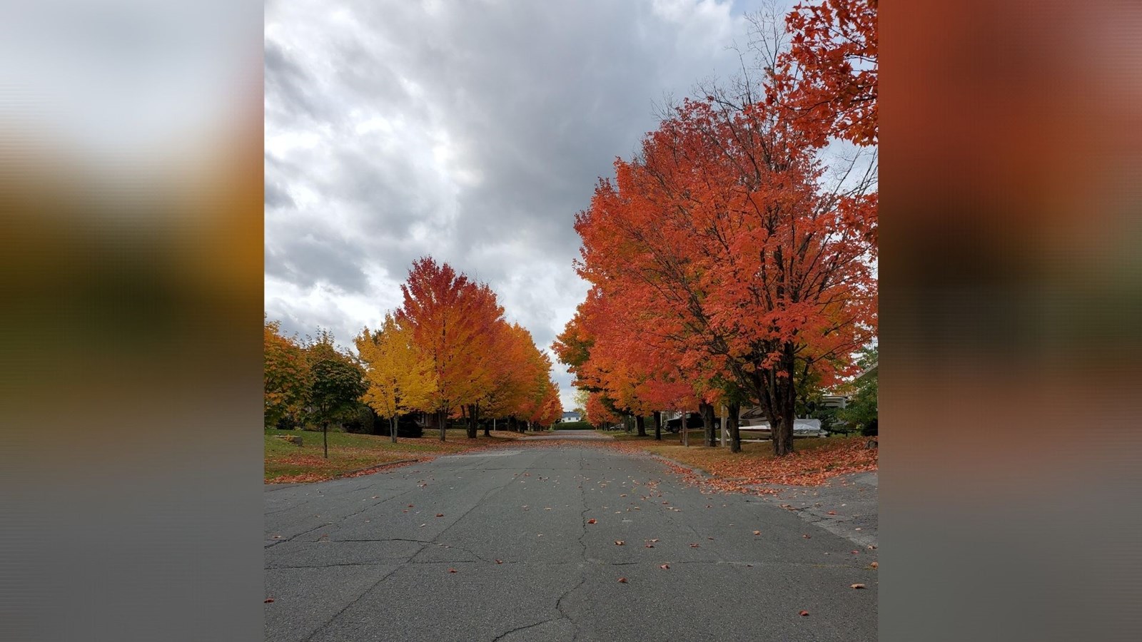 Captez-nous en photos la belle saison des couleurs — GALERIE 7