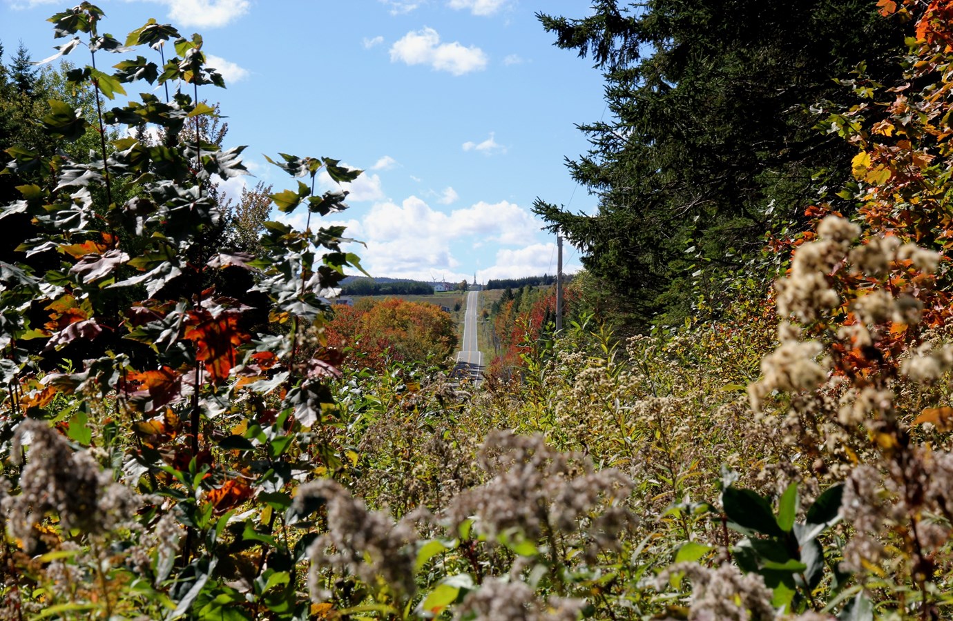 Captez-nous en photos la belle saison des couleurs — GALERIE 8