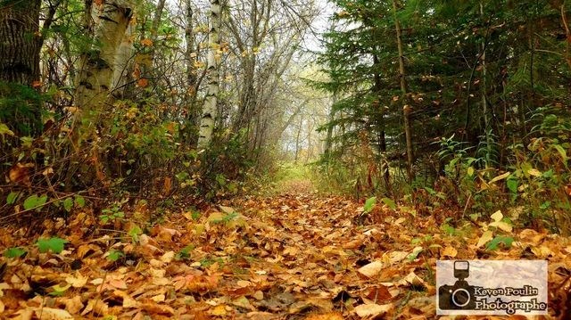 Captez-nous en photos la belle saison des couleurs — GALERIE 8