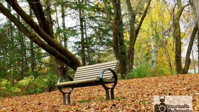Captez-nous en photos la belle saison des couleurs — GALERIE 8
