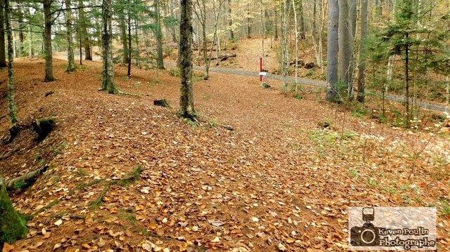 Captez-nous en photos la belle saison des couleurs — GALERIE 8