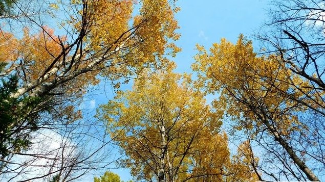 Captez-nous en photos la belle saison des couleurs — GALERIE 8