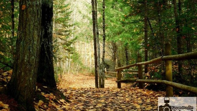 Captez-nous en photos la belle saison des couleurs — GALERIE 8