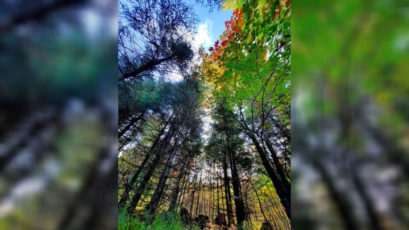 Captez-nous en photos la belle saison des couleurs — GALERIE 8